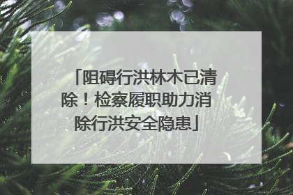 阻碍行洪林木已清除！检察履职助力消除行洪安全隐患