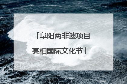 阜阳两非遗项目亮相国际文化节