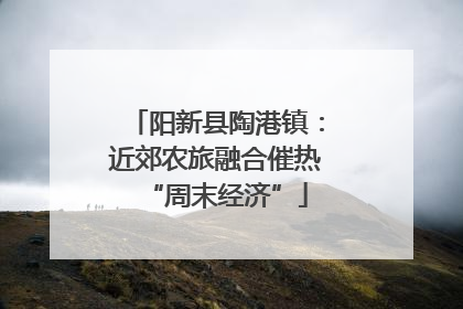 阳新县陶港镇：近郊农旅融合催热“周末经济”