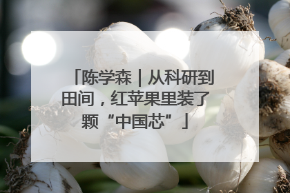 陈学森｜从科研到田间，红苹果里装了颗“中国芯”