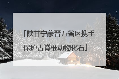 陕甘宁蒙晋五省区携手保护古脊椎动物化石