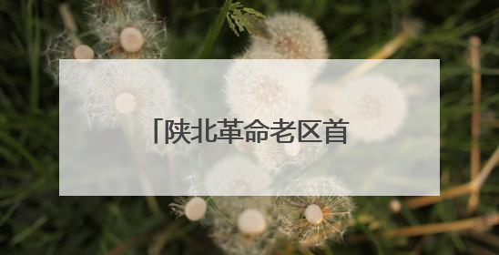 陕北革命老区首条高铁西延高铁实现轨道贯通