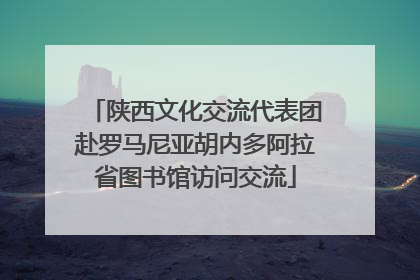 陕西文化交流代表团赴罗马尼亚胡内多阿拉省图书馆访问交流