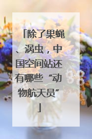 除了果蝇、涡虫，中国空间站还有哪些“动物航天员”