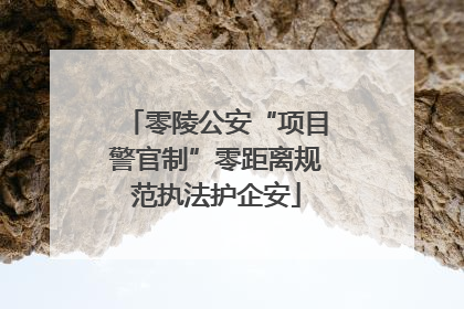 零陵公安“项目警官制”零距离规范执法护企安