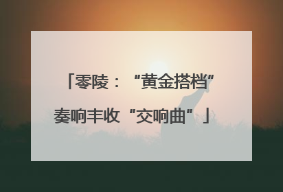零陵：“黄金搭档”奏响丰收“交响曲”