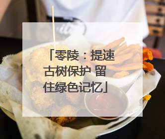 零陵：提速古树保护 留住绿色记忆