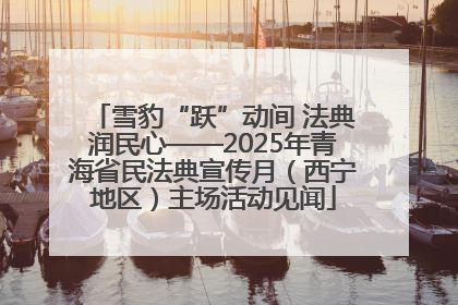 雪豹“跃”动间 法典润民心——2025年青海省民法典宣传月（西宁地区）主场活动见闻