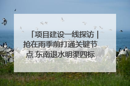 项目建设一线探访｜抢在雨季前打通关键节点 东南退水明渠四标段项目顺利完工