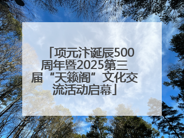 项元汴诞辰500周年暨2025第三届“天籁阁”文化交流活动启幕