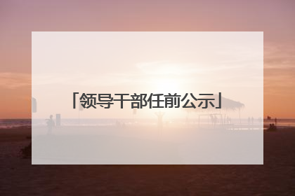 领导干部任前公示