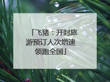 飞猪：开封旅游预订人次增速领跑全国