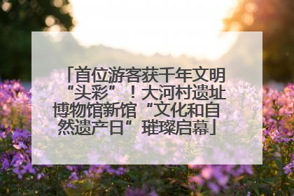 首位游客获千年文明“头彩”！大河村遗址博物馆新馆“文化和自然遗产日”璀璨启幕