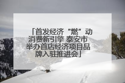 首发经济“燃”动消费新引擎 泰安市举办首店经济项目品牌入驻推进会