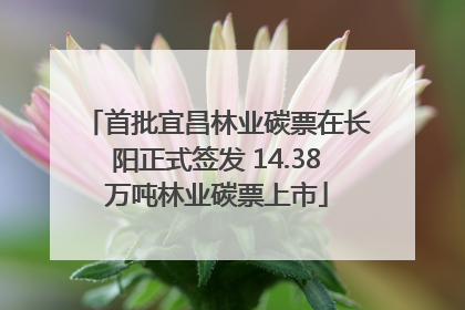 首批宜昌林业碳票在长阳正式签发 14.38万吨林业碳票上市