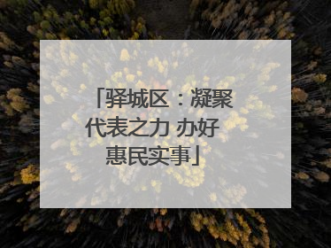 驿城区：凝聚代表之力 办好惠民实事