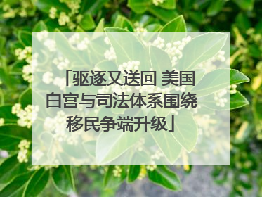驱逐又送回 美国白宫与司法体系围绕移民争端升级