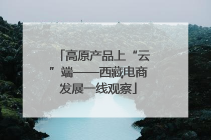 高原产品上“云”端——西藏电商发展一线观察