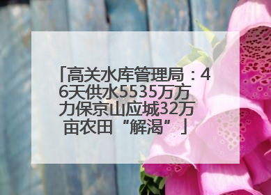 高关水库管理局：46天供水5535万方 力保京山应城32万亩农田“解渴”