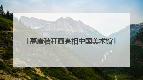 高唐秸秆画亮相中国美术馆