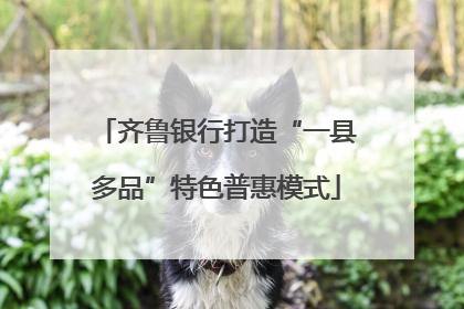 齐鲁银行打造“一县多品”特色普惠模式
