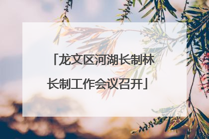 龙文区河湖长制林长制工作会议召开