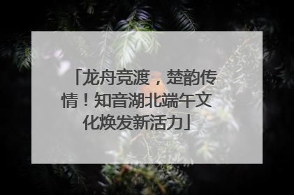 龙舟竞渡，楚韵传情！知音湖北端午文化焕发新活力