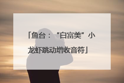 鱼台：“白富美”小龙虾跳动增收音符