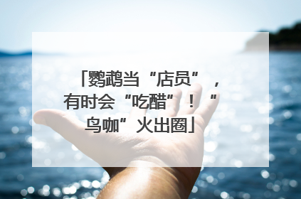 鹦鹉当“店员”，有时会“吃醋”！“鸟咖”火出圈