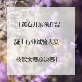 黄石开展预拌混凝土行业试验人员技能大赛总决赛
