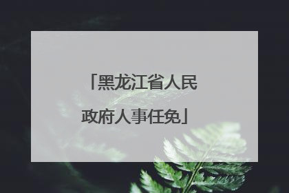 黑龙江省人民政府人事任免