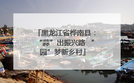 黑龙江省桦南县：“蒜”出振兴路 “园”梦新乡村