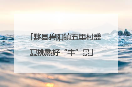 黟县碧阳镇五里村盛夏桃熟好“丰”景