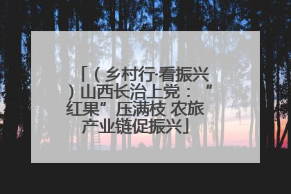 （乡村行·看振兴）山西长治上党：“红果”压满枝 农旅产业链促振兴