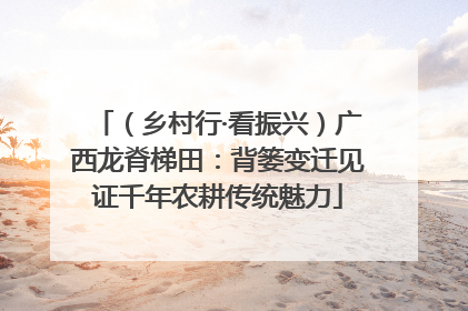 （乡村行·看振兴）广西龙脊梯田：背篓变迁见证千年农耕传统魅力