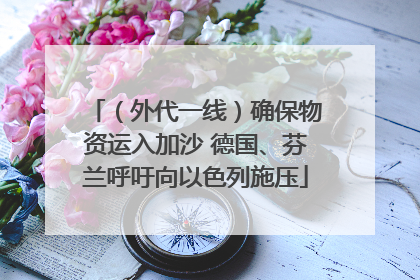 （外代一线）确保物资运入加沙 德国、芬兰呼吁向以色列施压