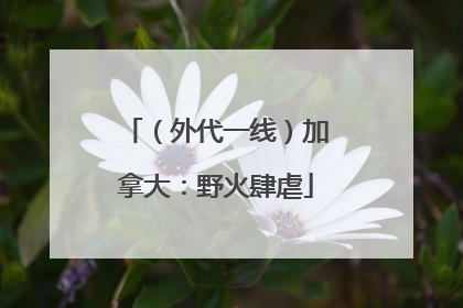 （外代一线）加拿大：野火肆虐