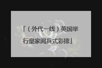 （外代一线）英国举行皇家阅兵式彩排