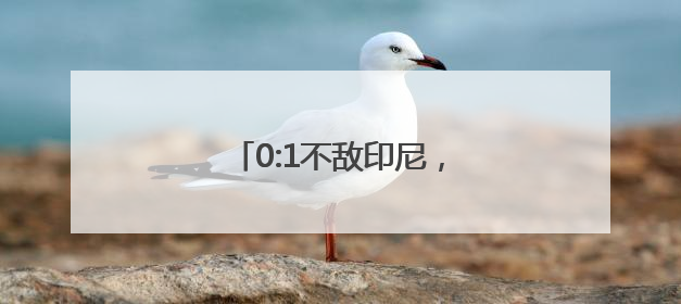0:1不敌印尼，国足告别世预赛