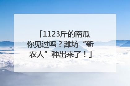1123斤的南瓜你见过吗？潍坊“新农人”种出来了！