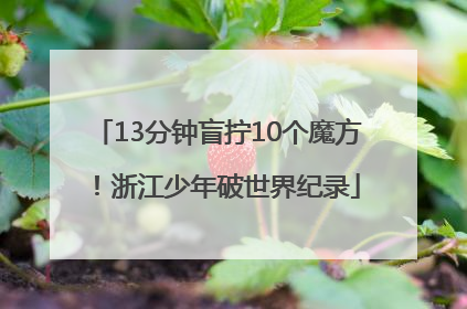 13分钟盲拧10个魔方！浙江少年破世界纪录