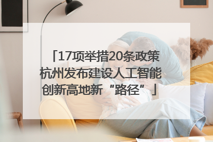 17项举措20条政策 杭州发布建设人工智能创新高地新“路径”