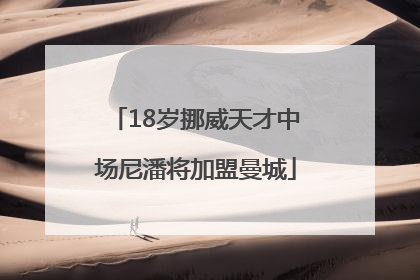 18岁挪威天才中场尼潘将加盟曼城