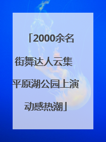 2000余名街舞达人云集 平原湖公园上演动感热潮