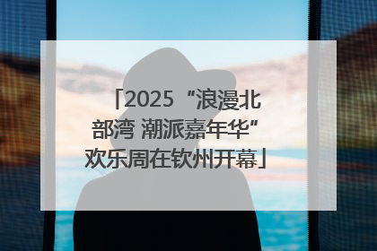2025“浪漫北部湾 潮派嘉年华”欢乐周在钦州开幕