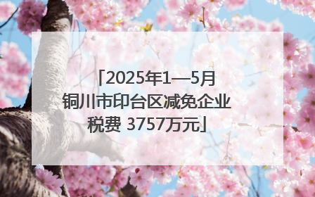 2025年1—5月铜川市印台区减免企业税费 3757万元