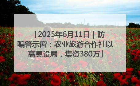 2025年6月11日｜防骗警示窗：农业旅游合作社以高息设局，集资380万