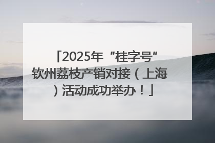 2025年“桂字号”钦州荔枝产销对接（上海）活动成功举办！