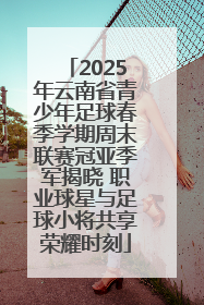 2025年云南省青少年足球春季学期周末联赛冠亚季军揭晓 职业球星与足球小将共享荣耀时刻