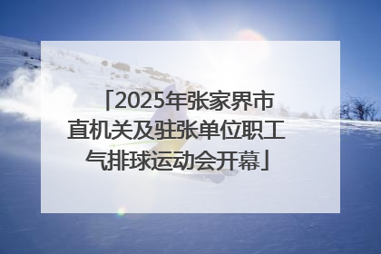 2025年张家界市直机关及驻张单位职工气排球运动会开幕